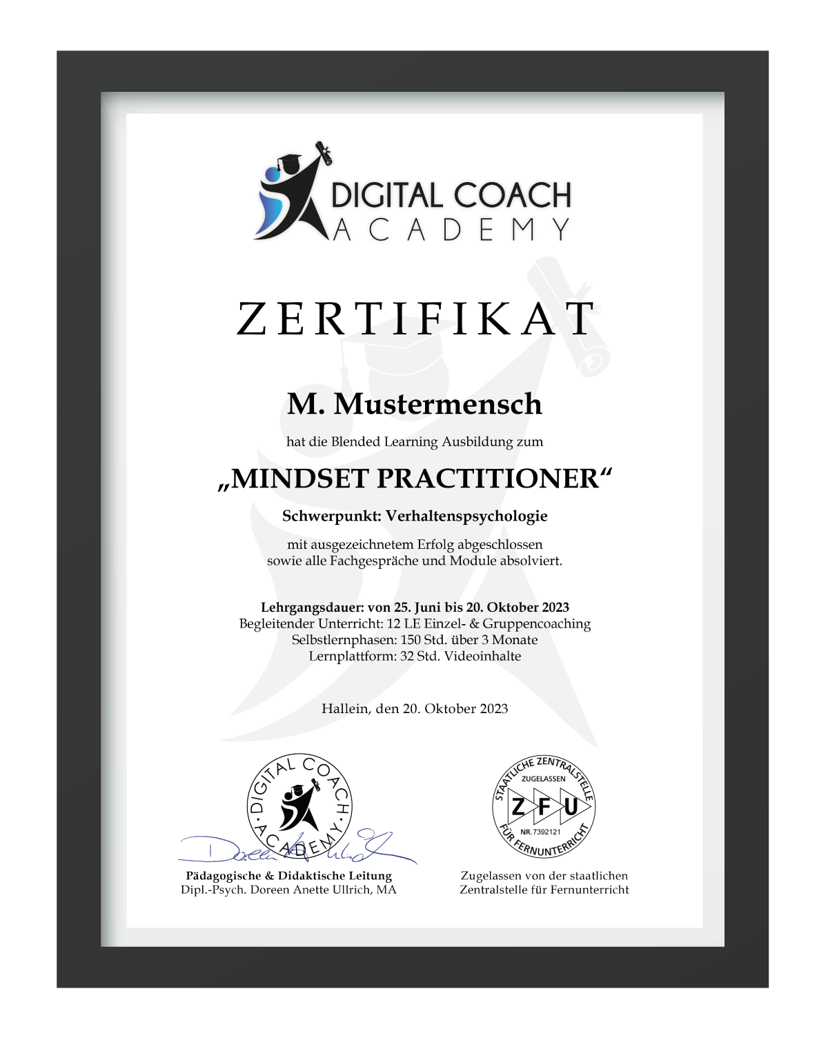 mindset practitioner